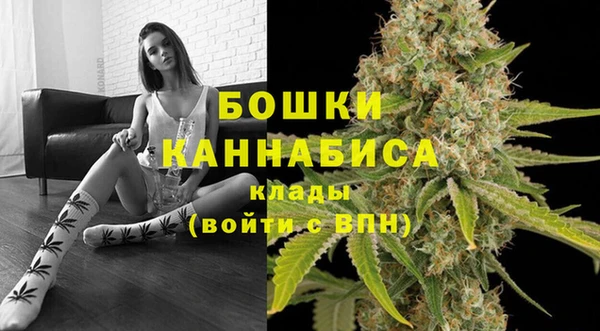 Альфа ПВП Аркадак