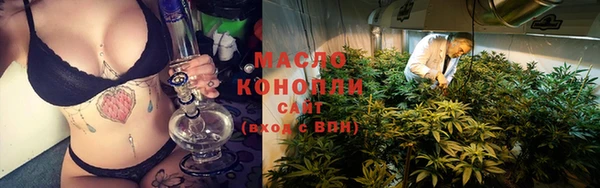 дмт Арсеньев